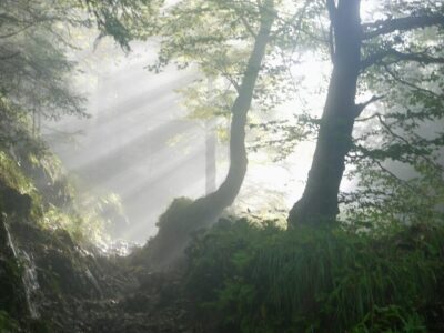 dunkle mystische namen weiblich