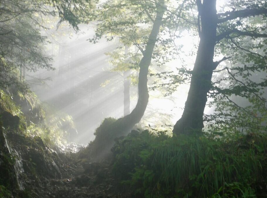 dunkle mystische namen weiblich