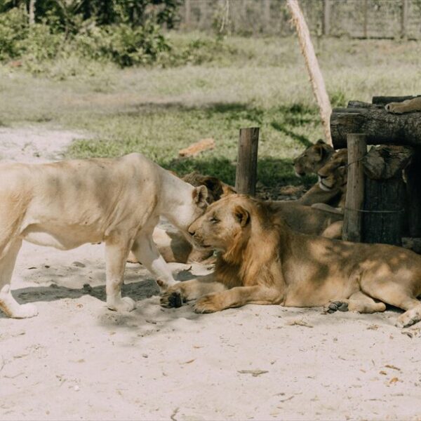 freizeitaktivitäten baden-württemberg