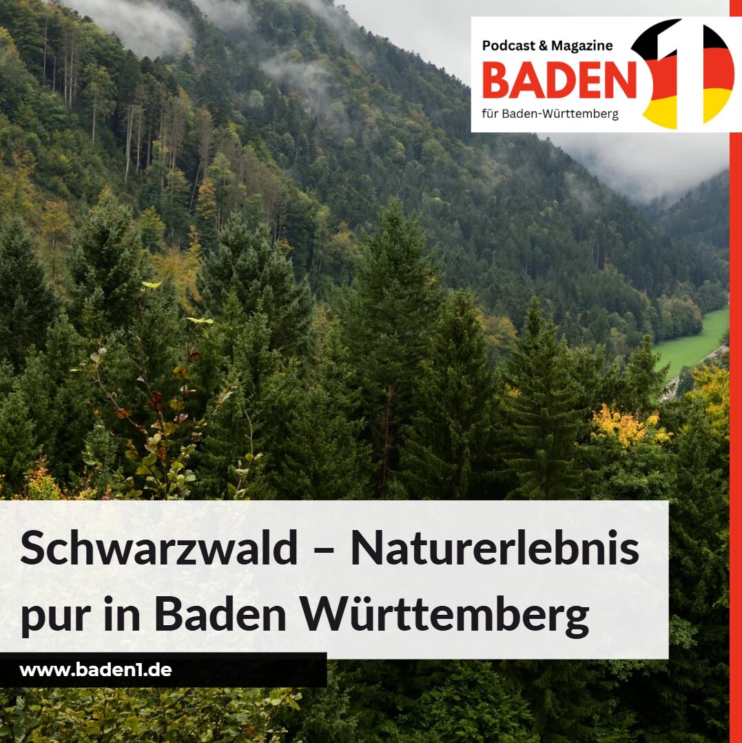natur in baden württemberg natur in baden württemberg
