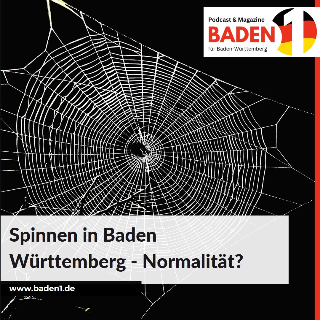 Spinnen in Baden Württemberg - Normalität