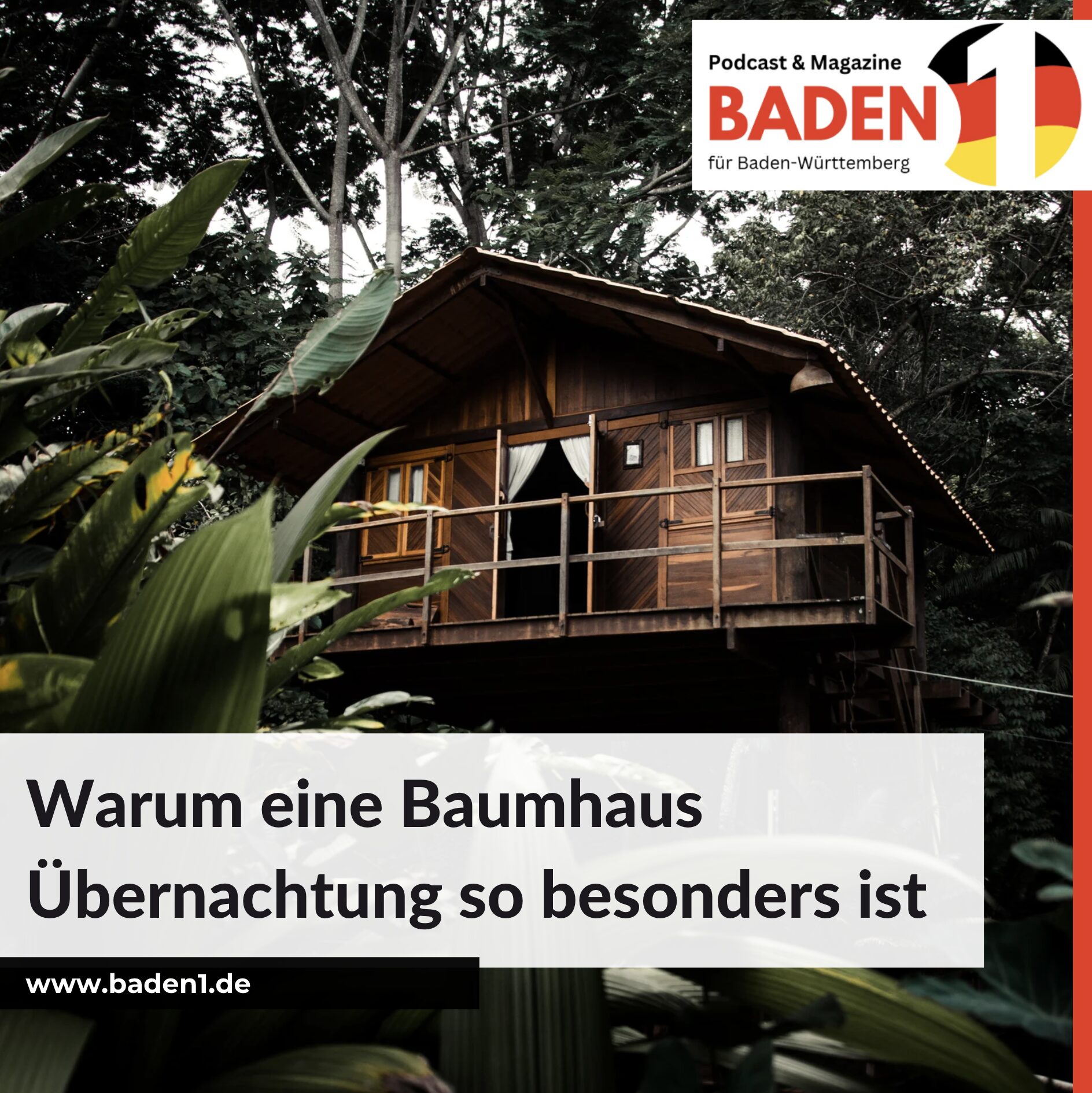 Warum eine Baumhaus Übernachtung so besonders ist