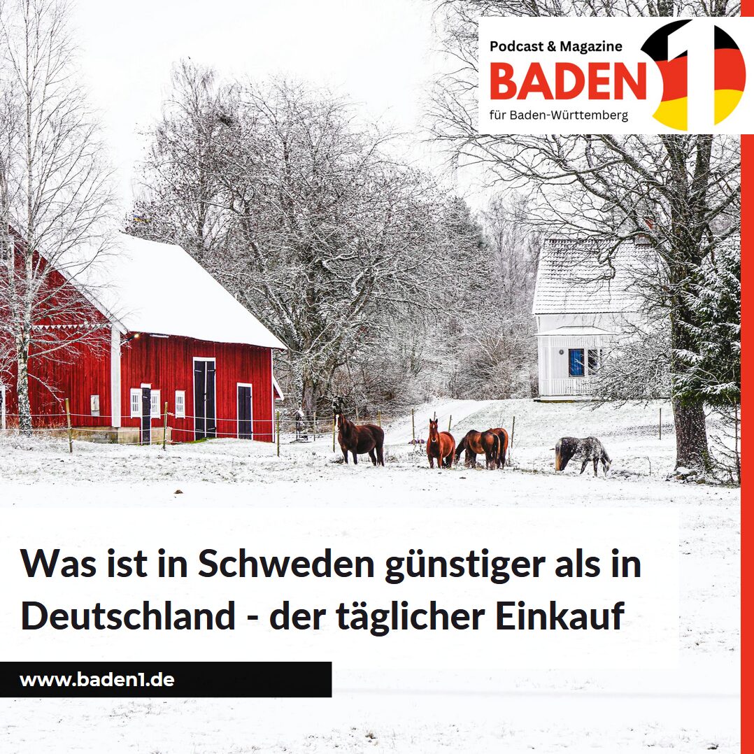 Was ist in Schweden günstiger als in Deutschland - der täglicher Einkauf