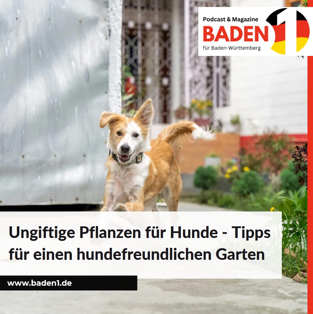 Ungiftige Pflanzen für Hunde - Tipps für einen hundefreundlichen Garten