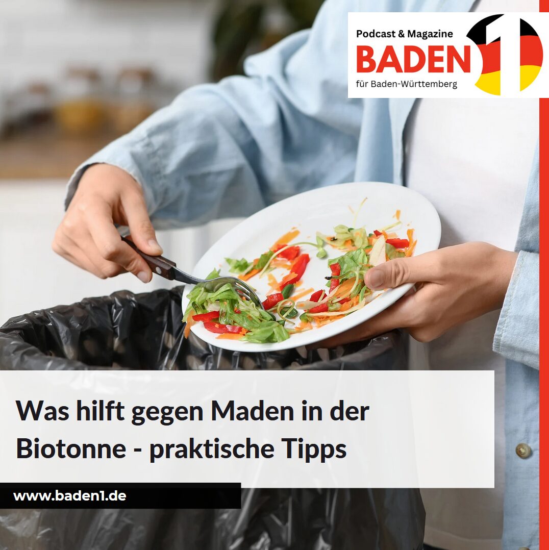 Was hilft gegen Maden in der Biotonne - praktische Tipps