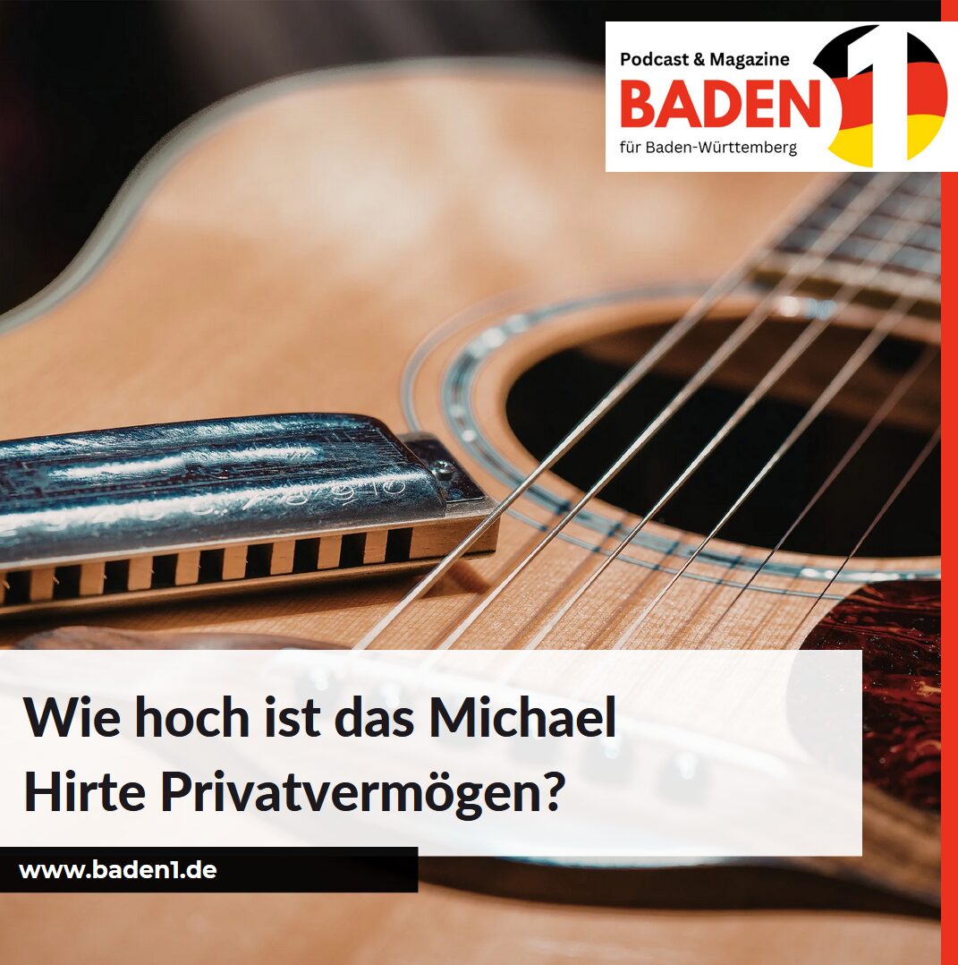 Wie hoch ist das Michael Hirte Privatvermögen?