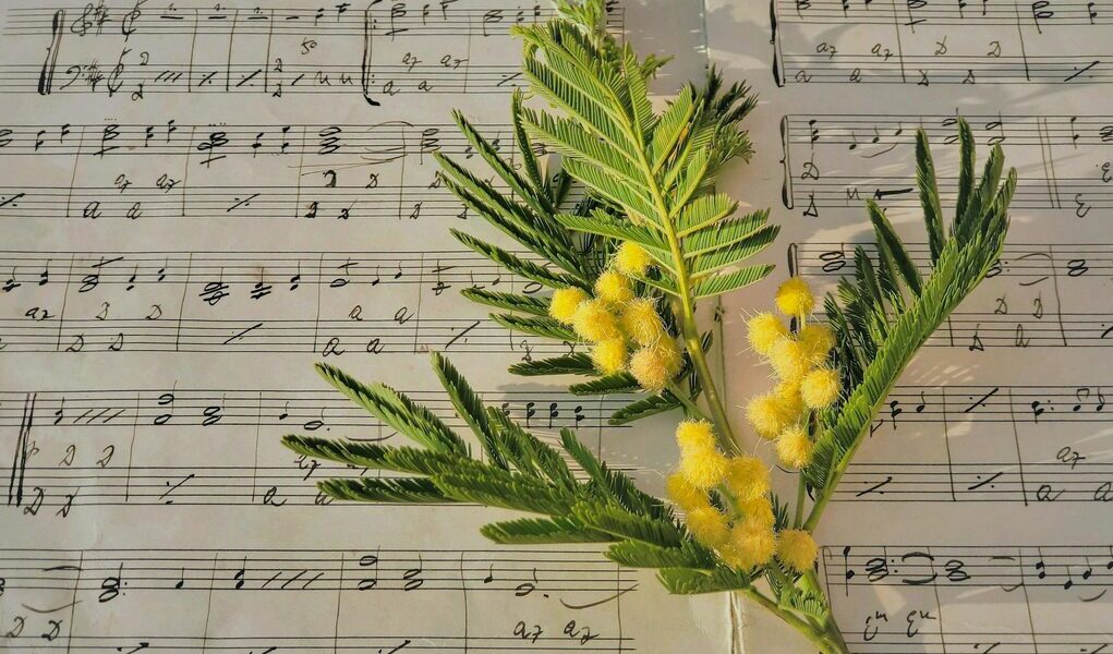 michael hirte privatvermögen