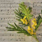 michael hirte privatvermögen