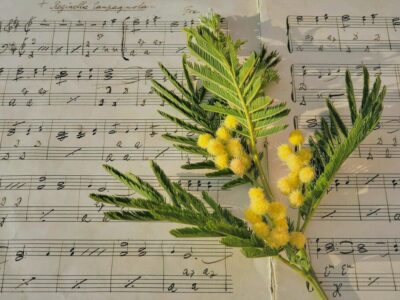 michael hirte privatvermögen