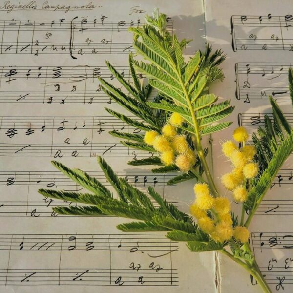 michael hirte privatvermögen