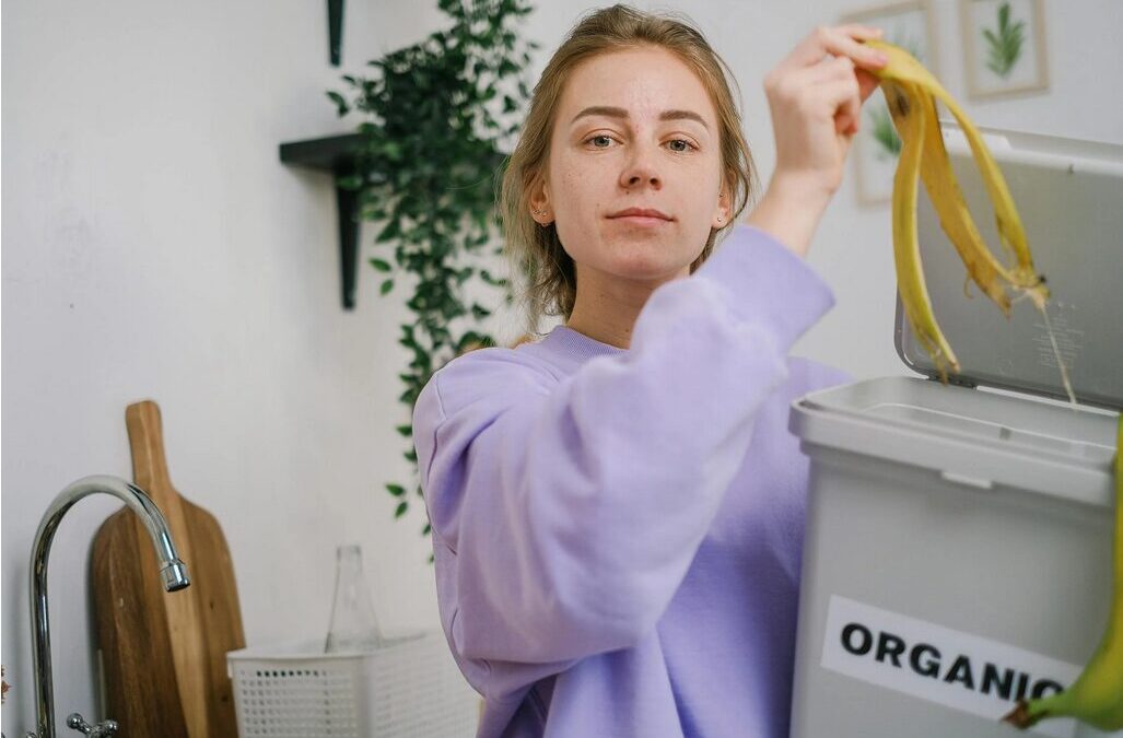 was hilft gegen maden in der biotonne