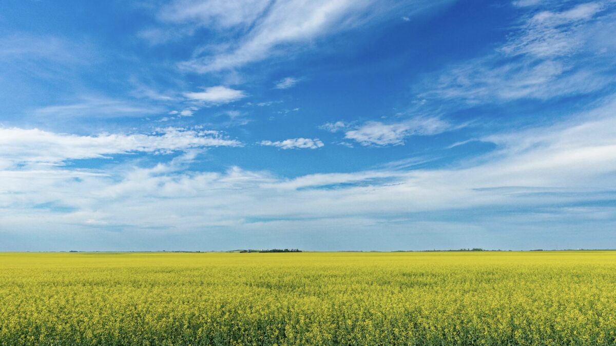 Warum ist der Himmel blau