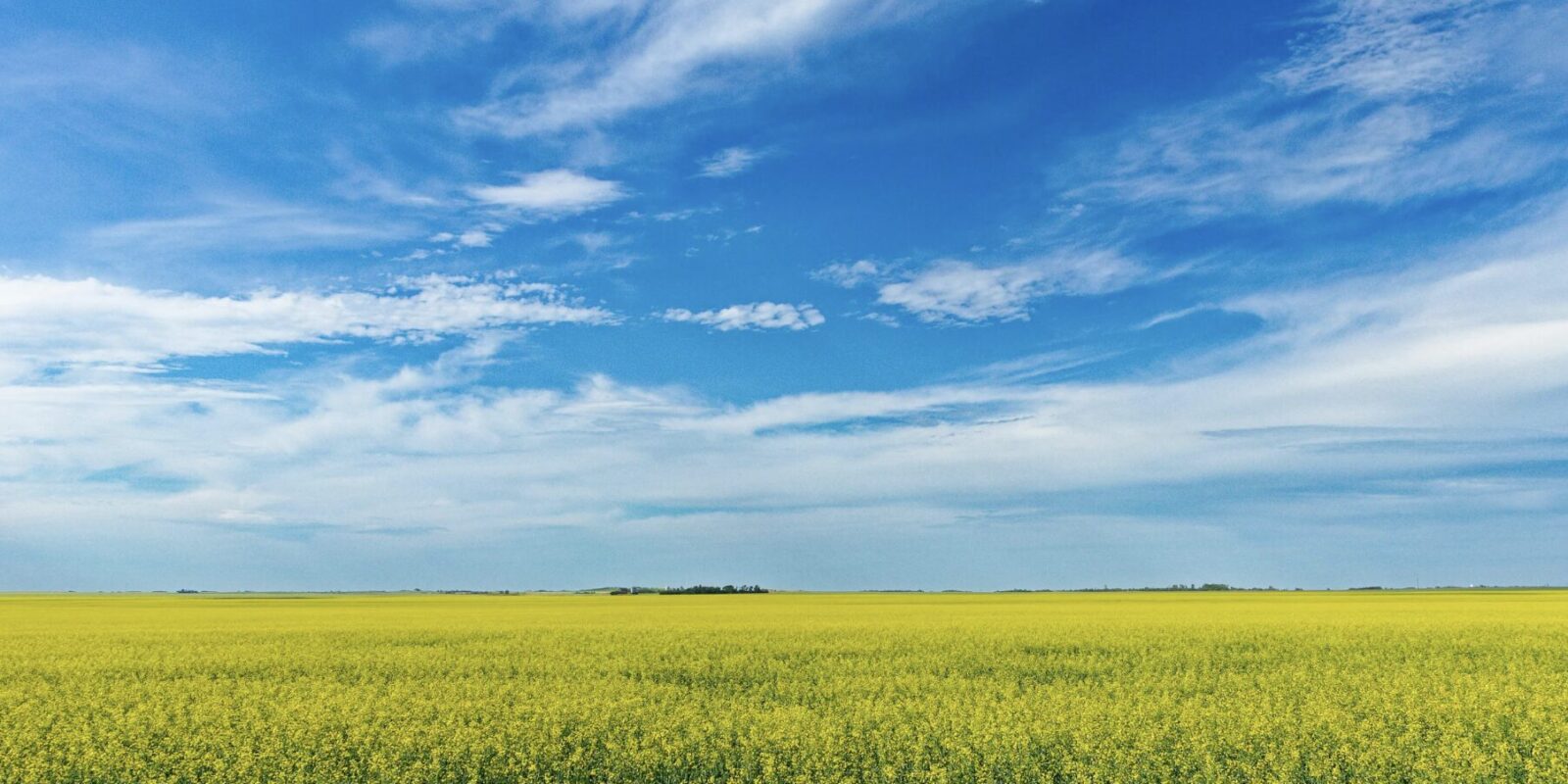 Warum ist der Himmel blau