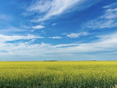 Warum ist der Himmel blau