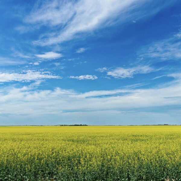 Warum ist der Himmel blau