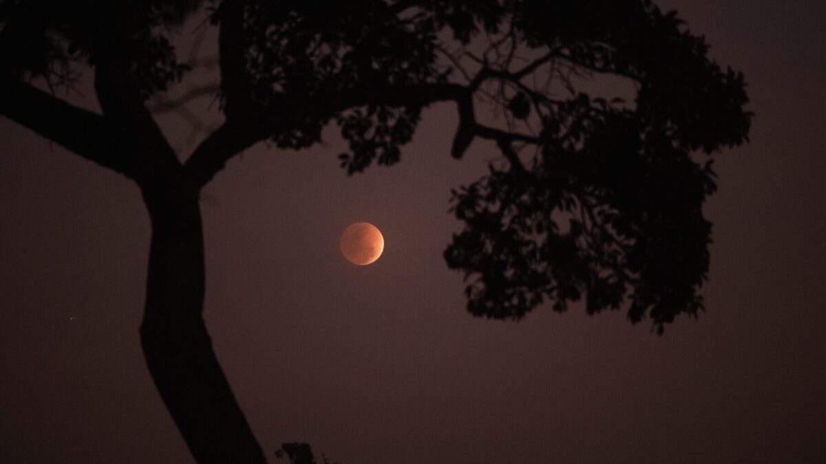 Warum schläft man bei Vollmond schlecht