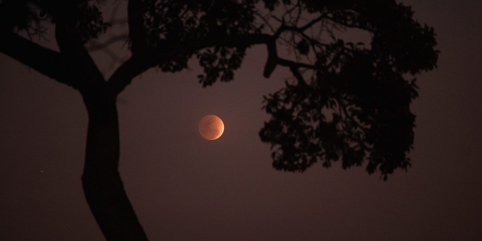 Warum schläft man bei Vollmond schlecht