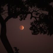 Warum schläft man bei Vollmond schlecht