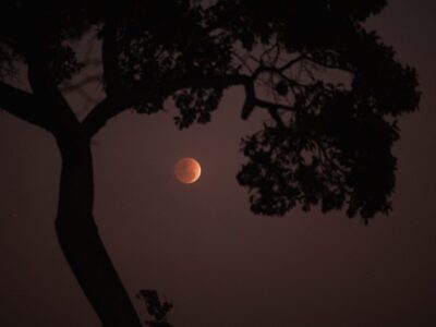 Warum schläft man bei Vollmond schlecht