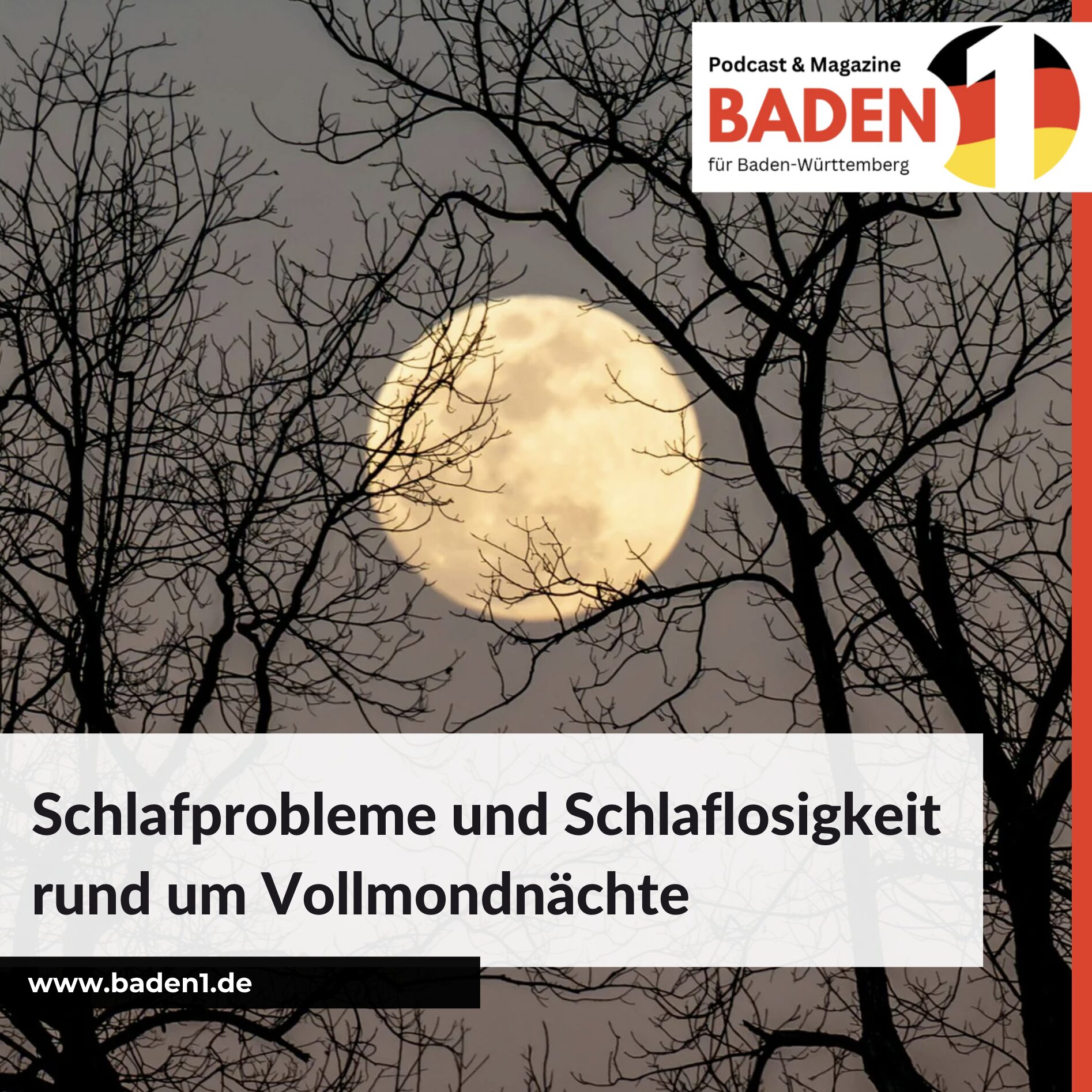 Warum schläft man bei Vollmond schlecht? Schlafprobleme 