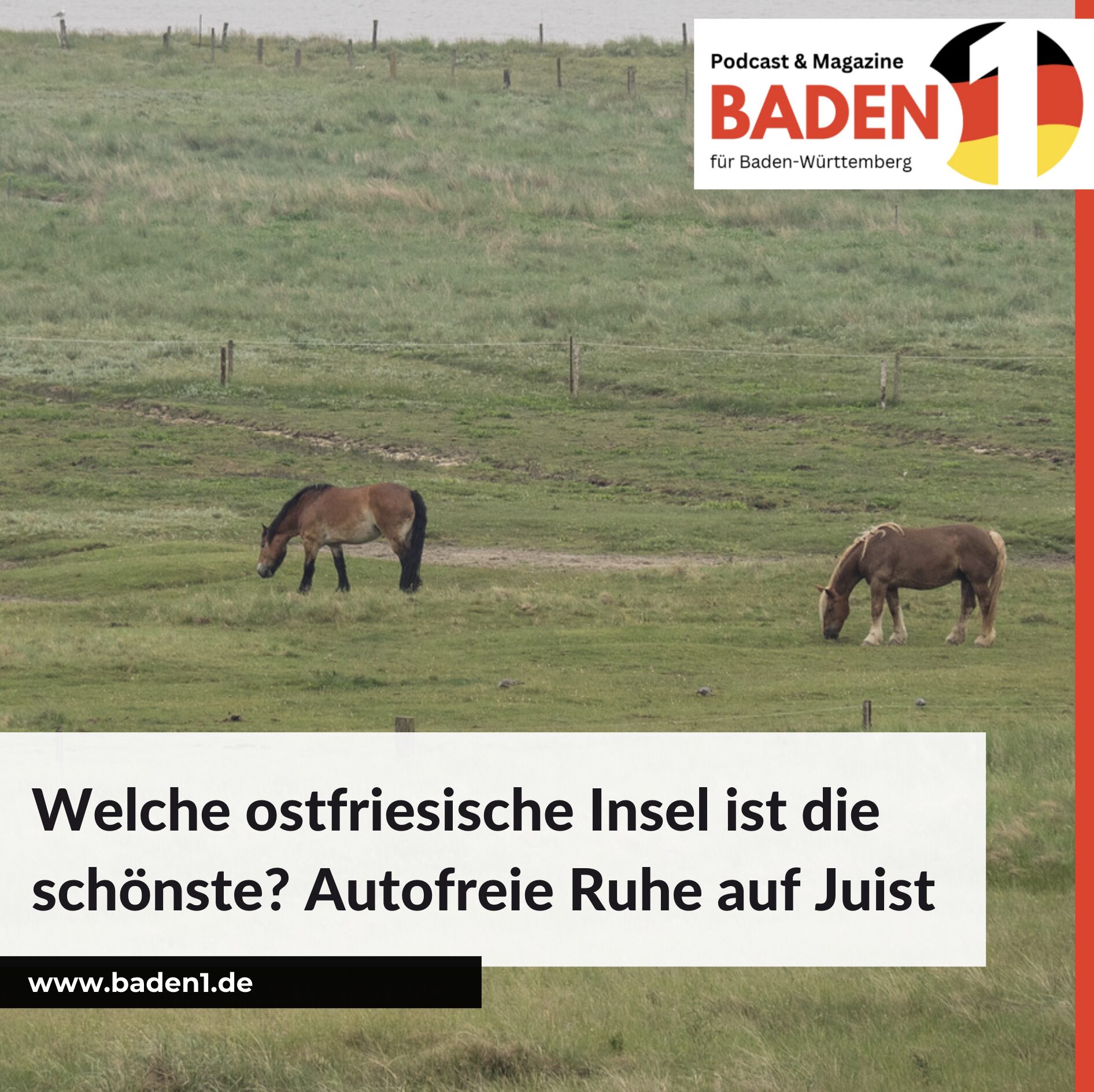 Welche ostfriesische Insel ist die schönste? Autofreie Ruhe auf Juist 