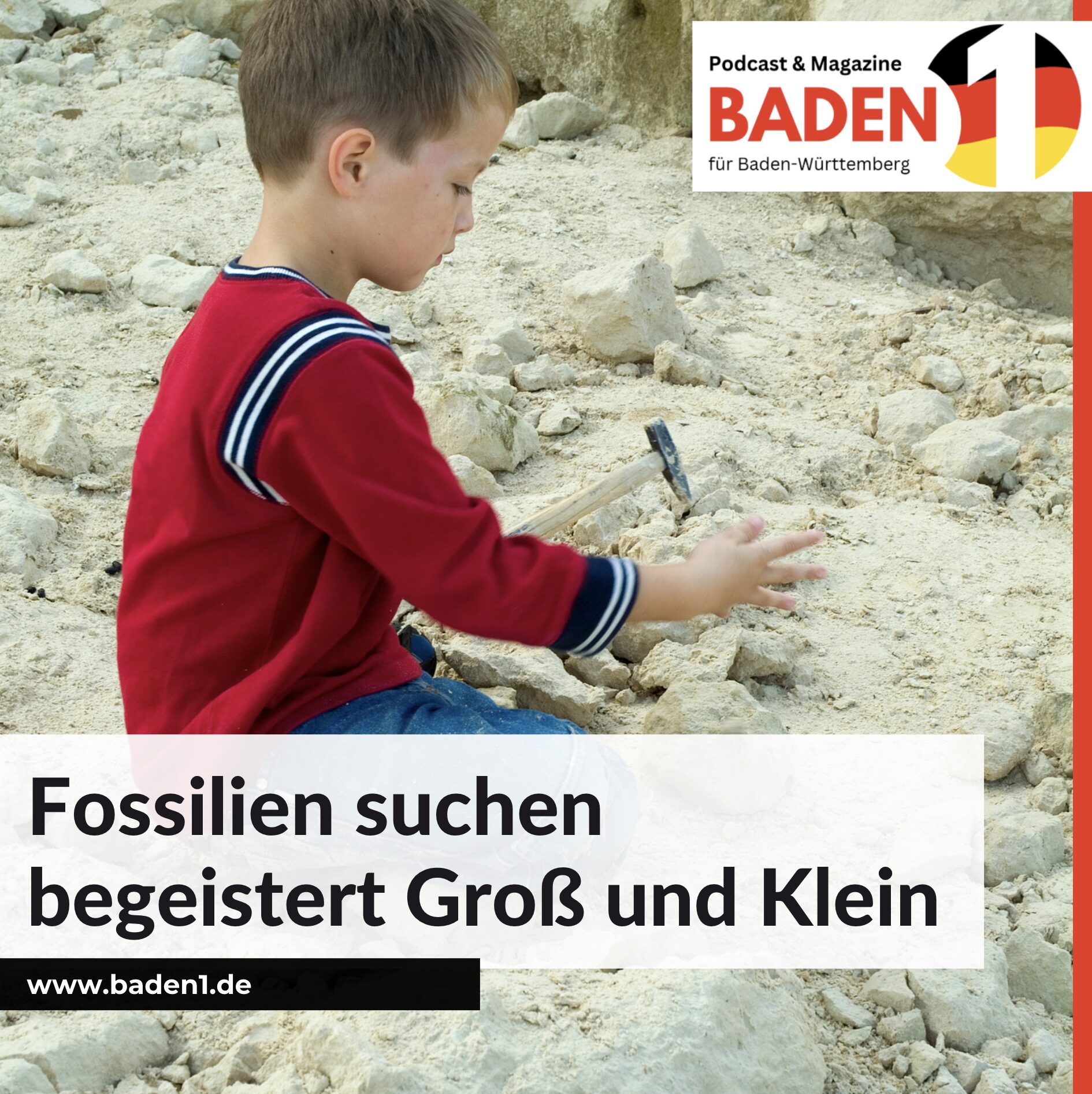 Fossilien suchen begeistert Groß und Klein Fossilien suchen begeistert Groß und Klein