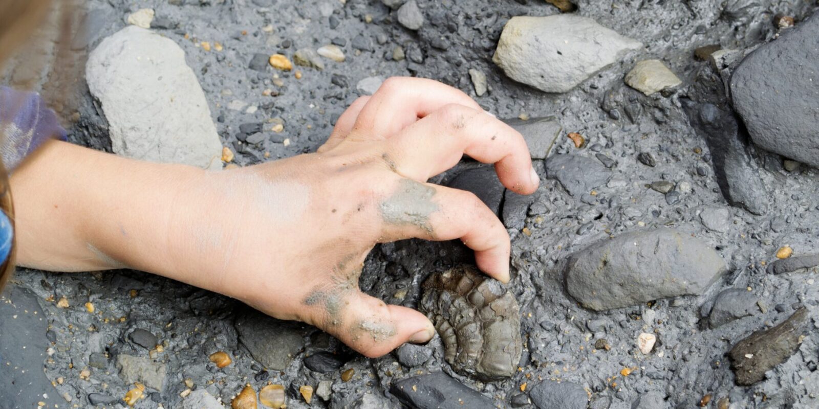 Fossilien suchen in Baden-Württemberg