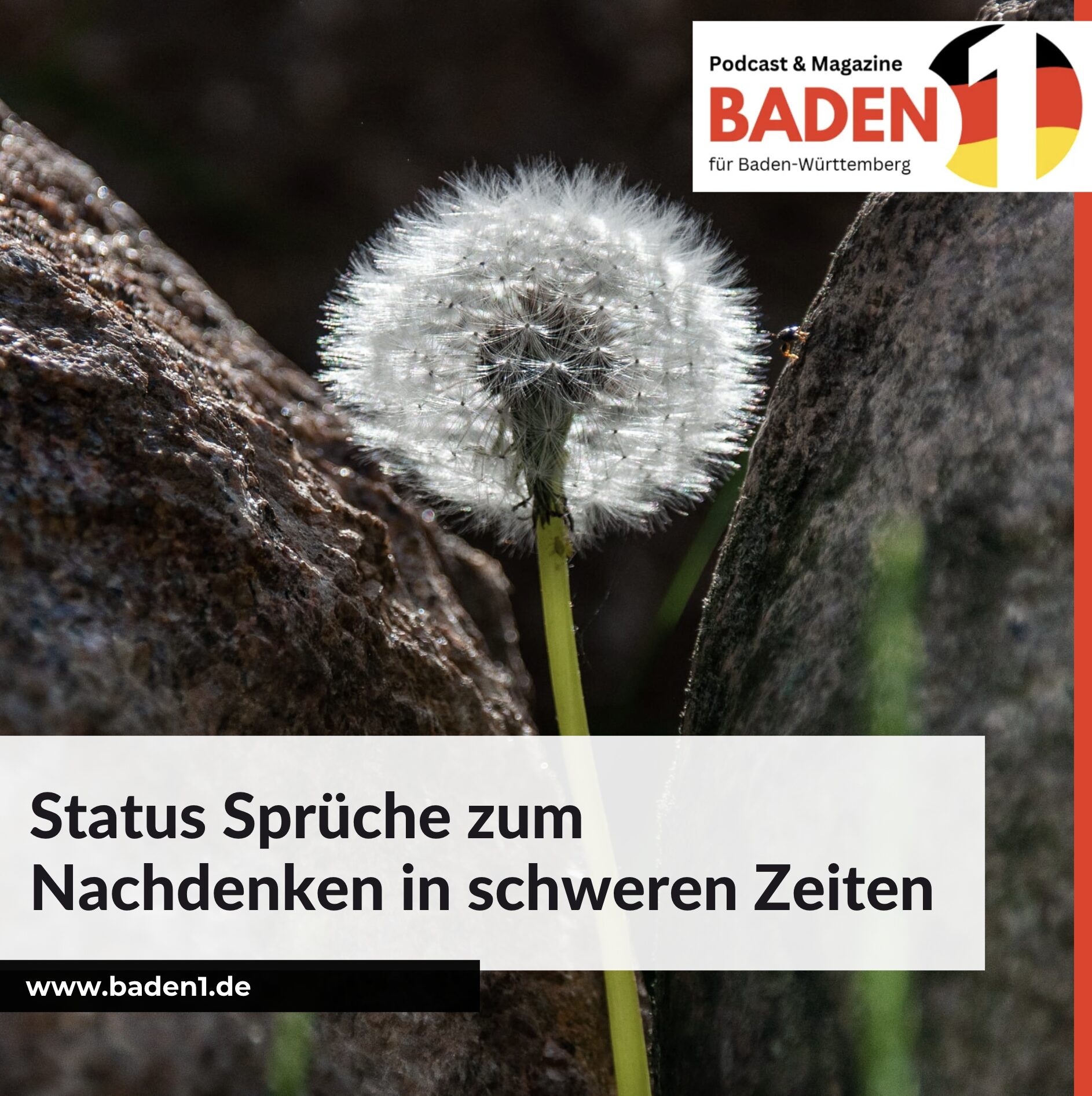 Starke Gedanken und Nachdenken über Gefühle - Status Sprüche zum Nachdenken in schweren Zeiten