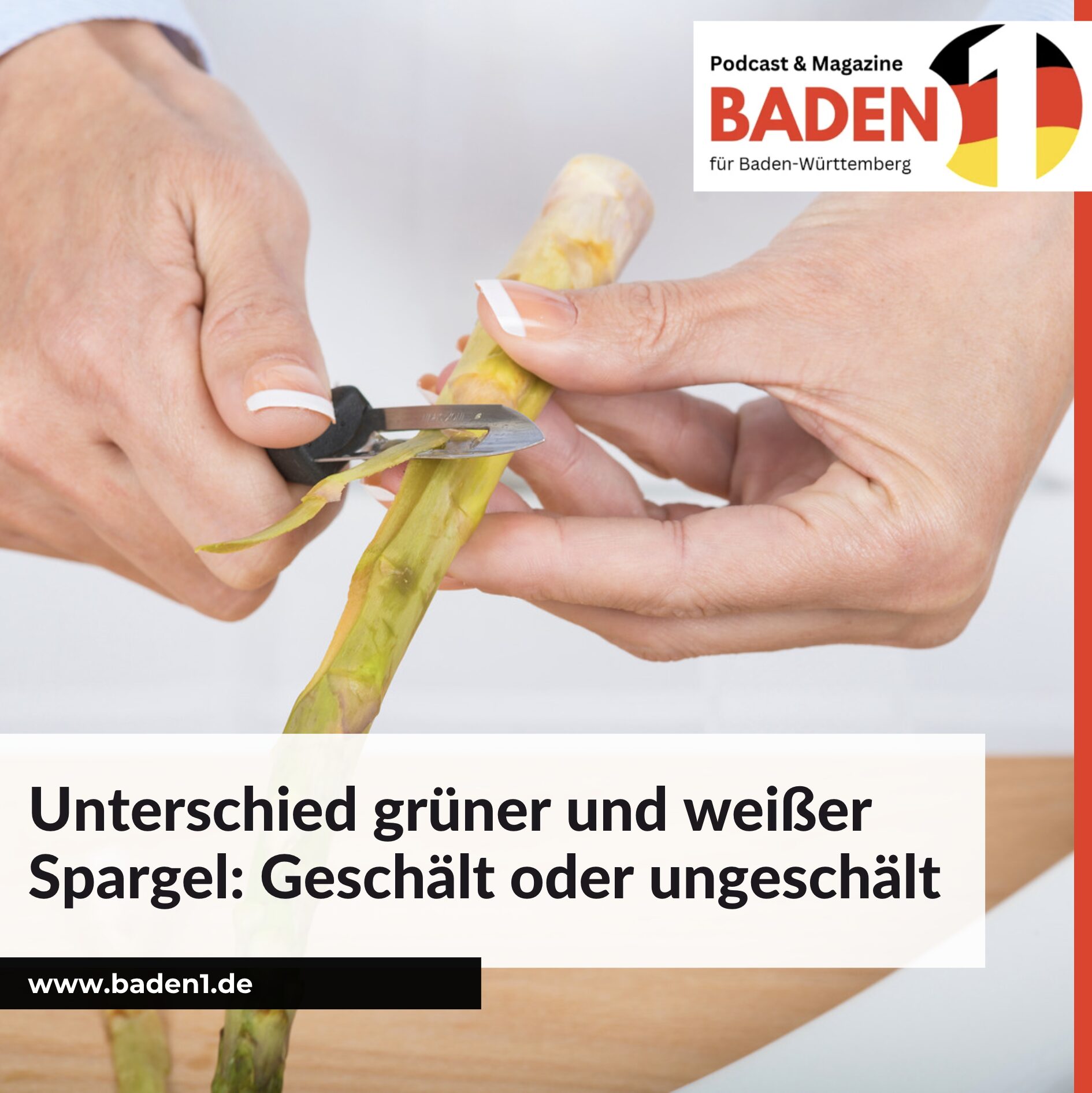 Unterschied grüner und weißer Spargel: Geschält oder ungeschält Unterschied grüner und weißer Spargel: Geschält oder ungeschält