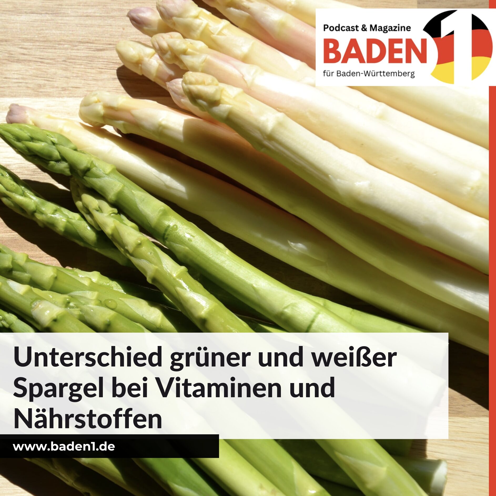 Unterschied grüner und weißer Spargel bei Vitaminen und Nährstoffen Unterschied grüner und weißer Spargel bei Vitaminen und Nährstoffen