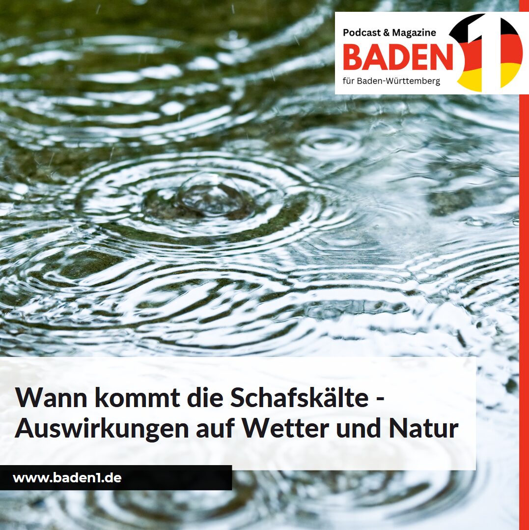 Wann kommt die Schafskälte - Auswirkungen auf Wetter und Natur