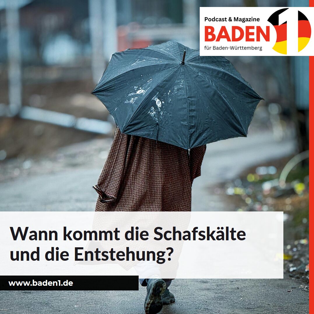 Wann kommt die Schafskälte und die Entstehung?