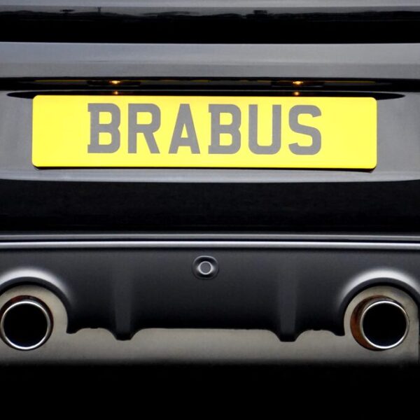 constantin brabus vermögen