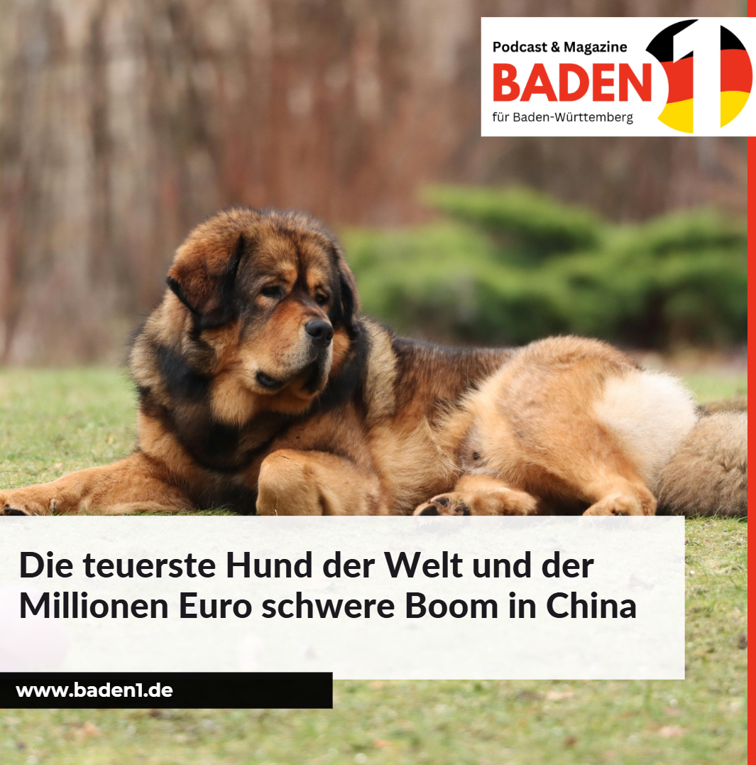 Die teuerste Hund der Welt und der Millionen Euro schwere Boom in China