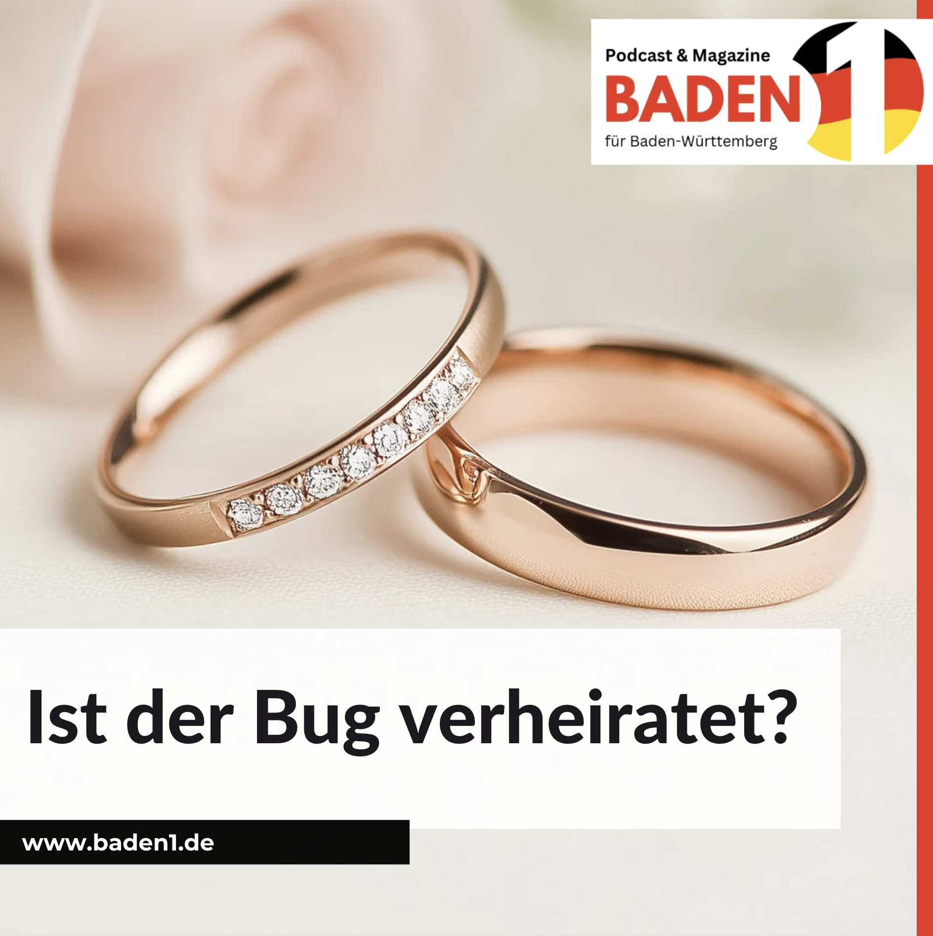 Ist der Bug verheiratet?