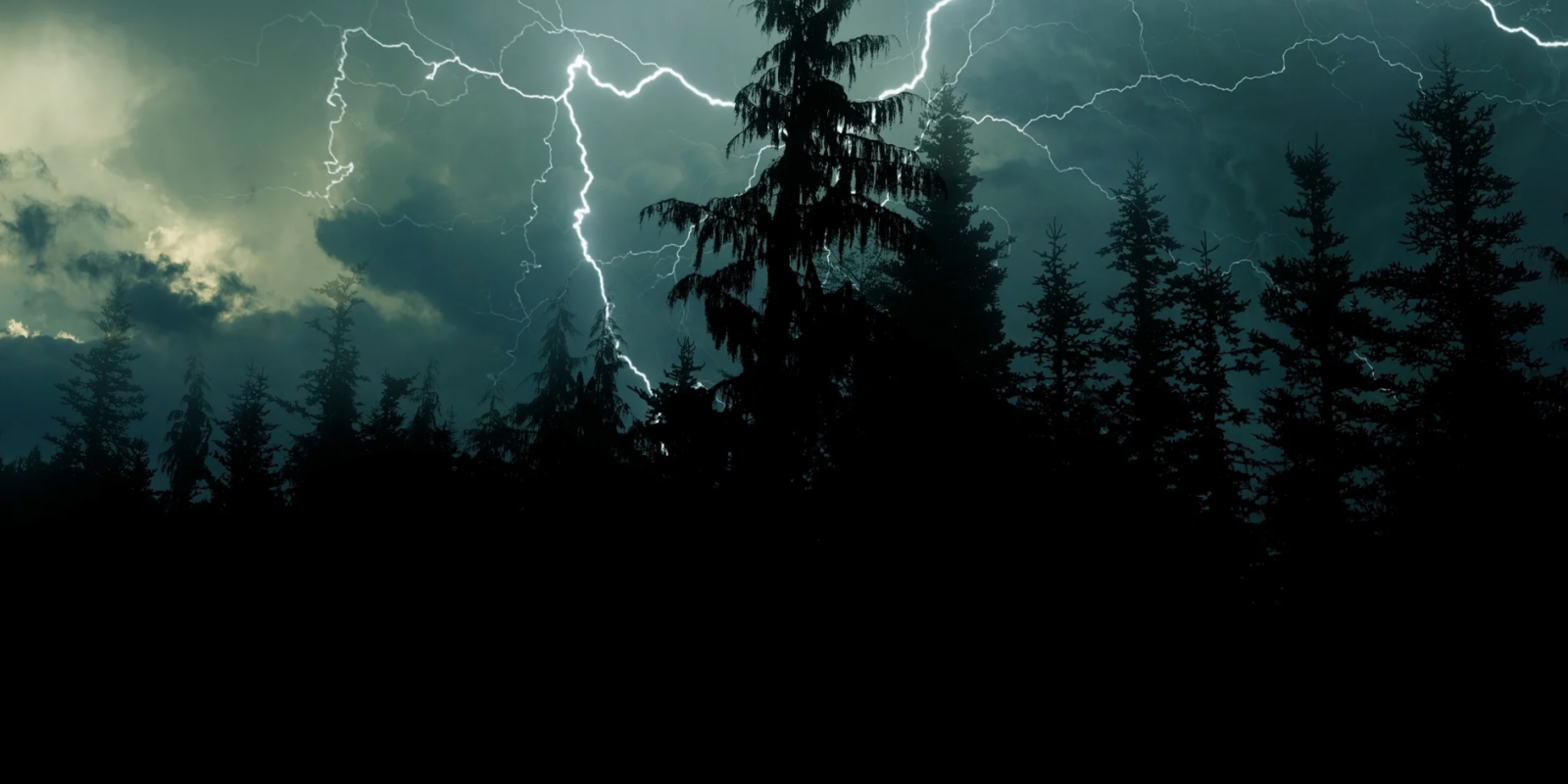 Wie weit ist das Gewitter entfernt Jeder Donnerschlag verändert die Lage