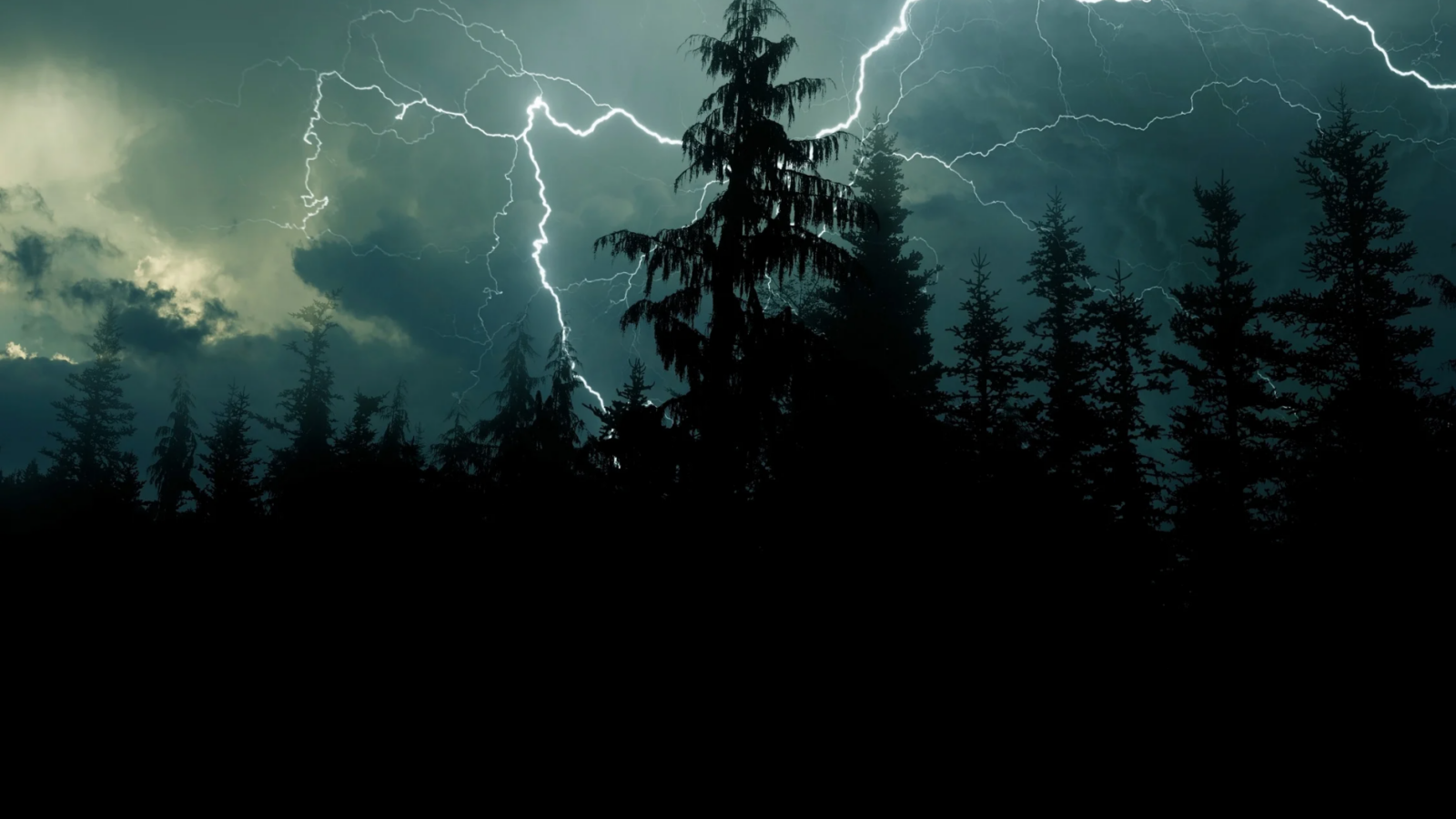 Wie weit ist das Gewitter entfernt Jeder Donnerschlag verändert die Lage