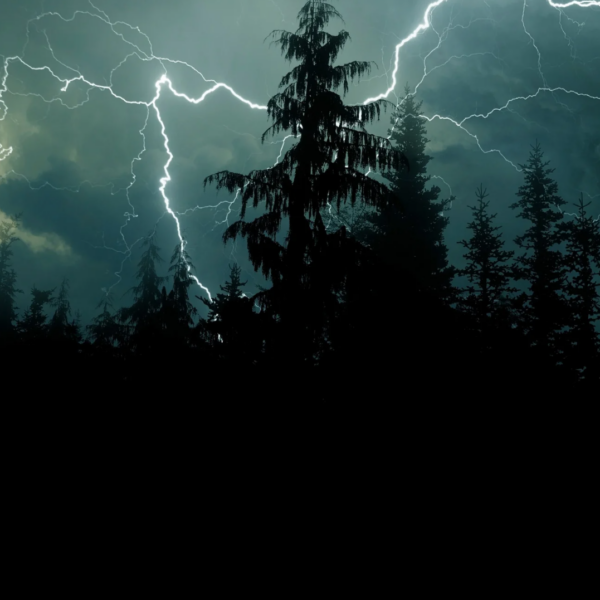 Wie weit ist das Gewitter entfernt Jeder Donnerschlag verändert die Lage
