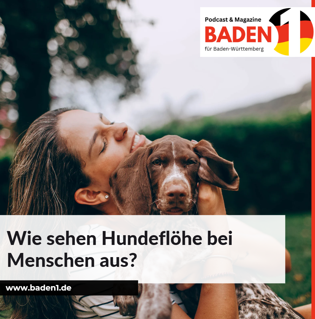 Wie sehen Hundeflöhe bei Menschen aus Wie sehen Hundeflöhe bei Menschen aus